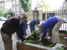 Gardeners