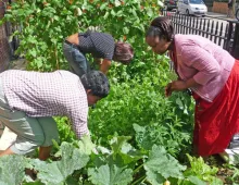 Gardeners
